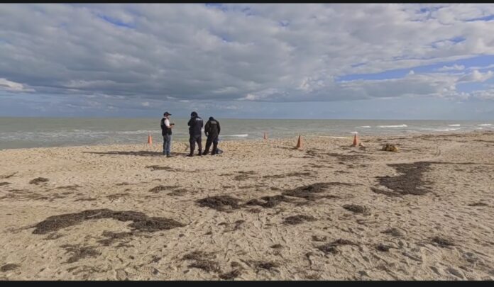 Trágico Hallazgo en el Malecón de Progreso Encuentran sin Vida a una Mujer