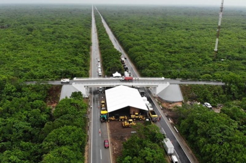 Juez admite ampliación de amparo contra obras del tramo 5 del Tren Maya