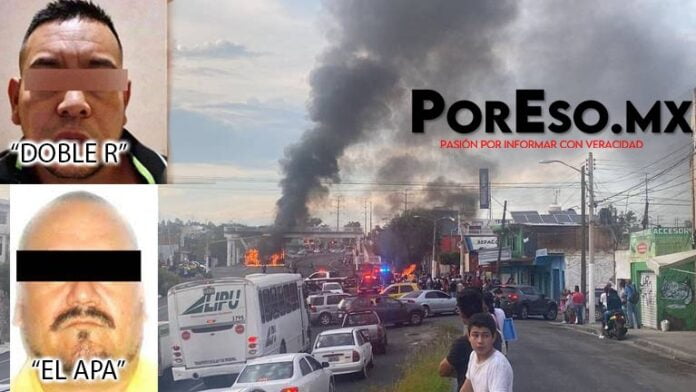 WhatsApp Image 2022-08-10 at 6.54.44 PM