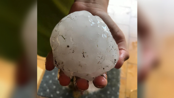 f608x342-180174_209897_0