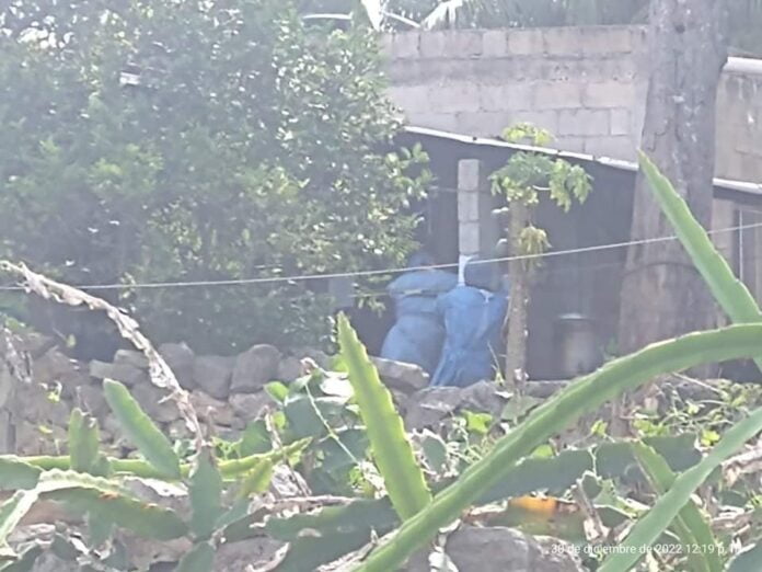 323030006_481876414079283_9220775859656848790_n