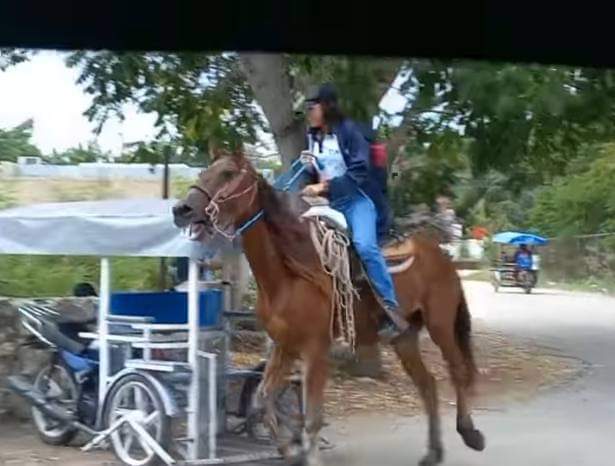 FB_IMG_1701299780362