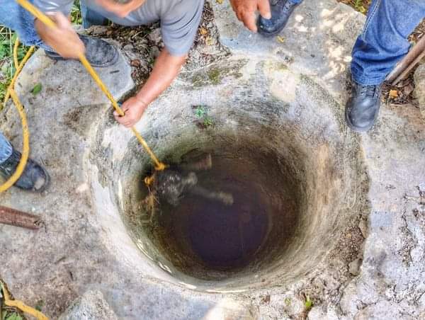 FB_IMG_1704641028316