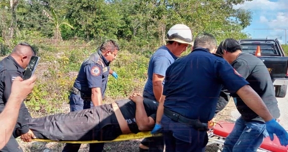 bcc7f1ca-e317-4386-ae2d-c50efe616985