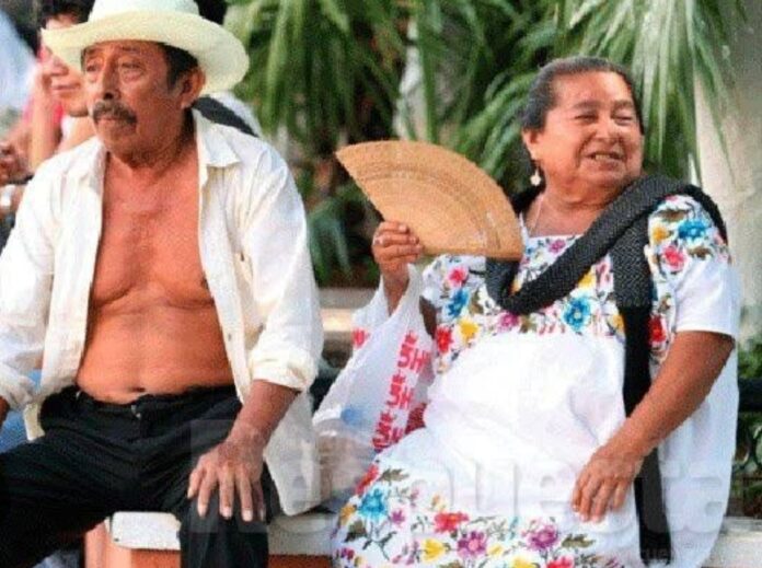 Screenshot_2024-04-01-08-42-29-806_com.google.android.googlequicksearchbox-edit