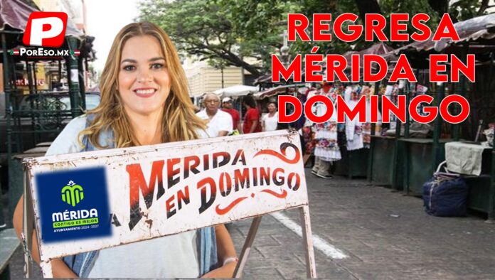 regresa merida en domingo