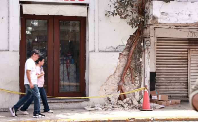 Establecimiento fue dañado por árbol