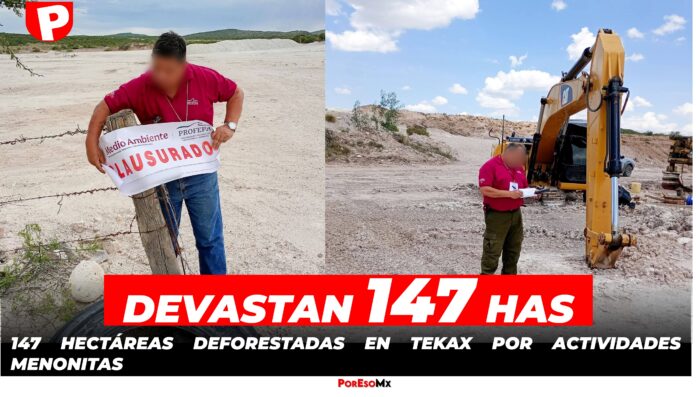 MENONITAS DEVASTAN 147 HECTARIAS